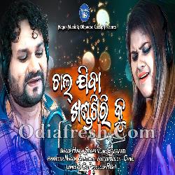 Chal Jiba Khandagiri Ku - Odia Dance Song